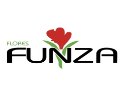Flores Funza Colombia